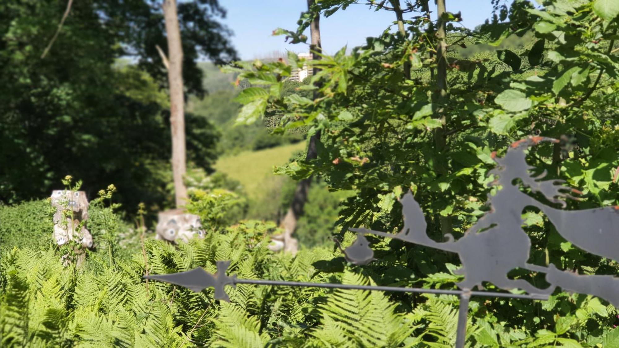 Hotel Schneiderhof ブラウンラーゲ エクステリア 写真