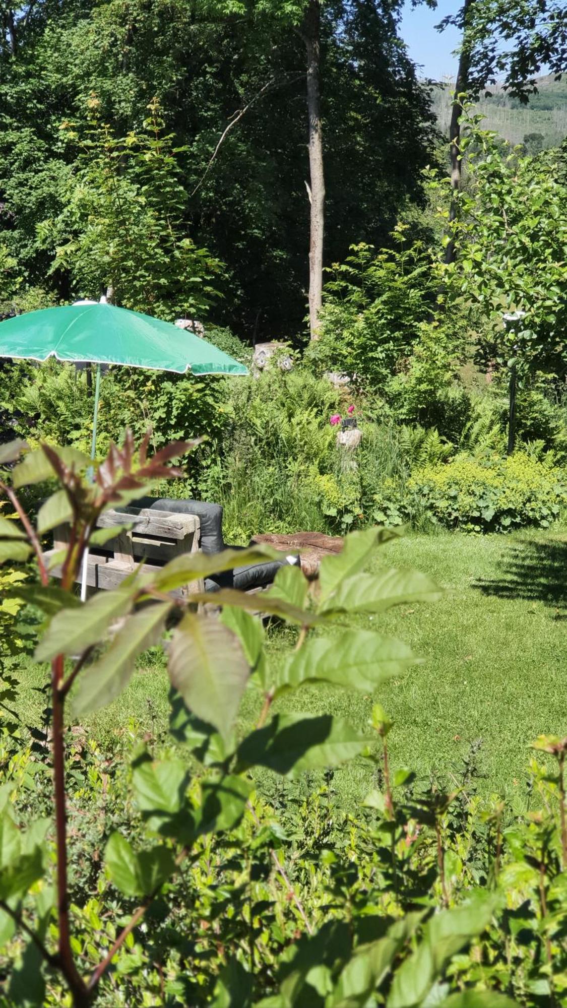 Hotel Schneiderhof ブラウンラーゲ エクステリア 写真