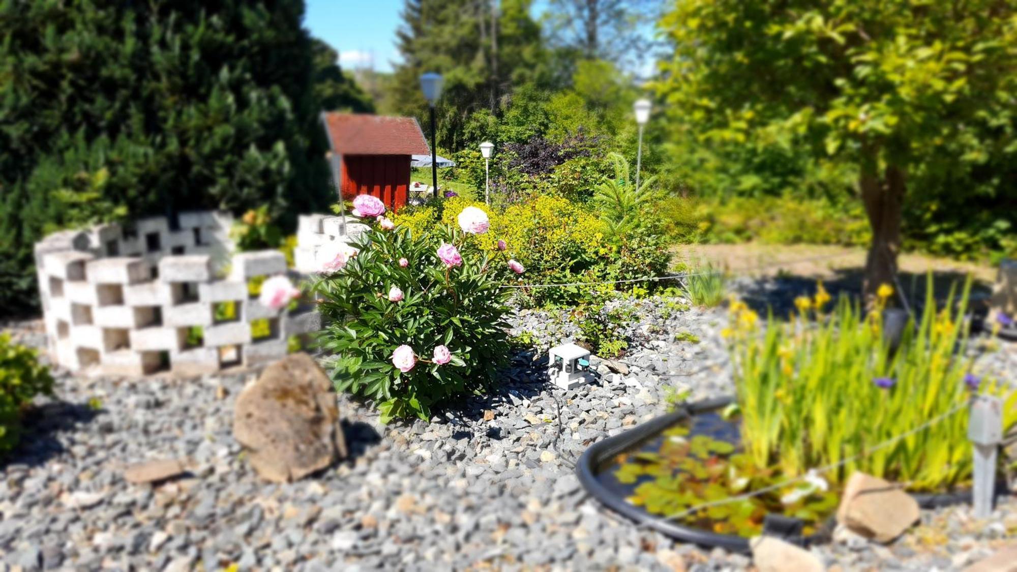 Hotel Schneiderhof ブラウンラーゲ エクステリア 写真